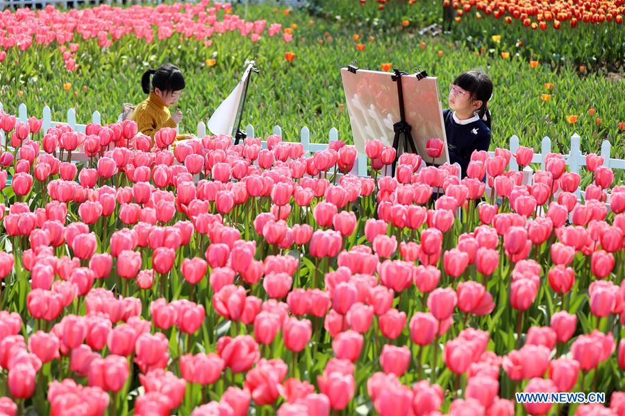 XINHUA PHOTO WEEKLY CHOICES (CN)