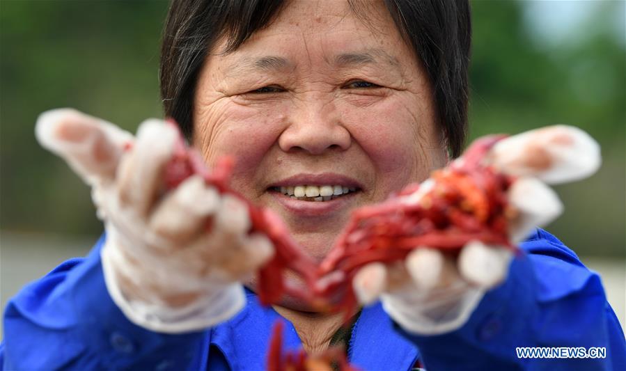 CHINA-JIANGXI-FENGXIN-RURAL ENTREPRENEURSHIP STORY