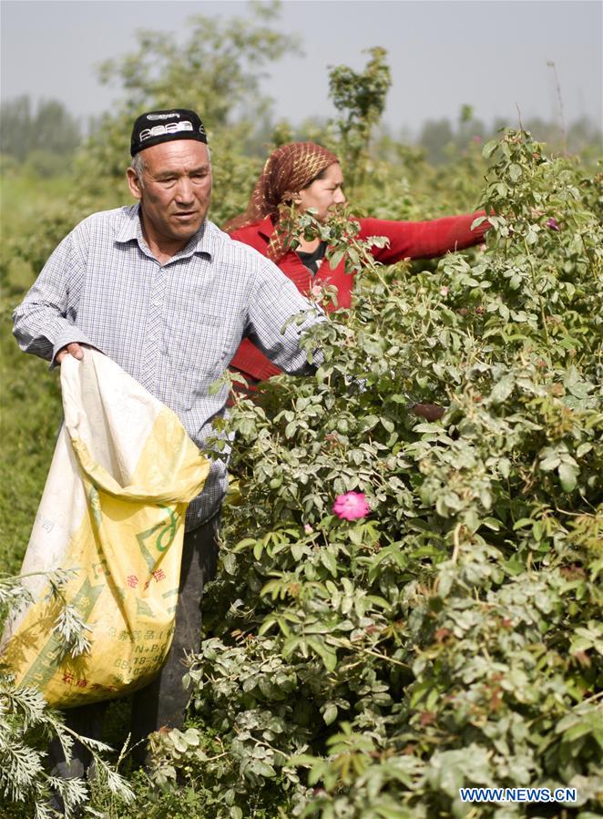 CHINA-XINJIANG-HOTAN-FARMER-INDUSTRY INCOME (CN)