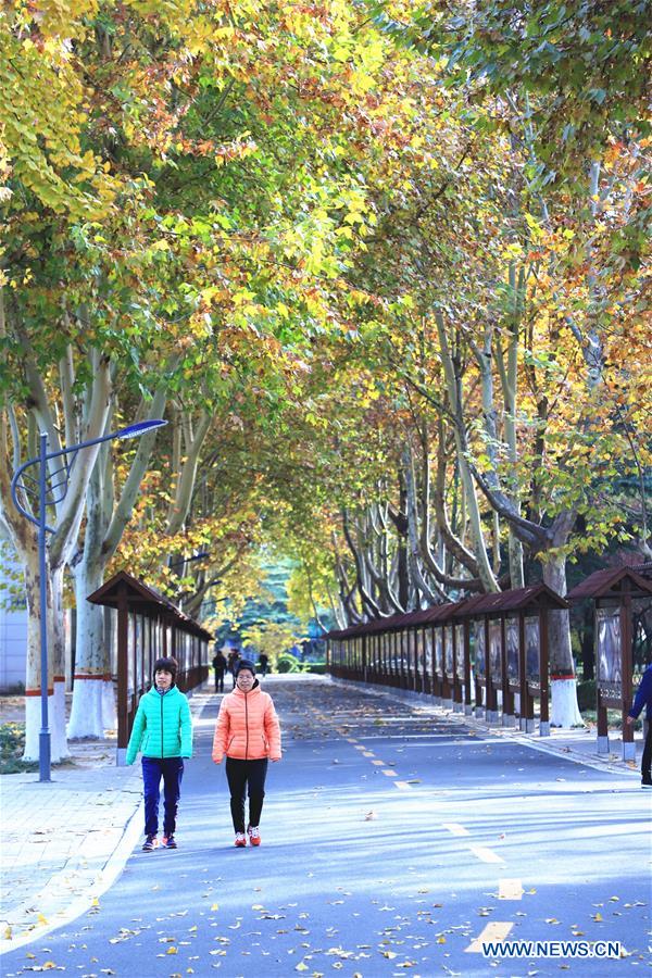 CHINA-HEBEI-WINTER SCENERY (CN)
