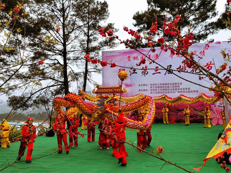 #CHINA-GUANGXI-HUANJIANG-PEACH BLOSSOM FESTIVAL (CN)