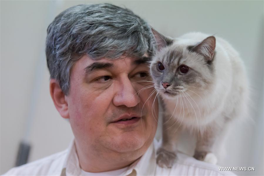 HUNGARY-BUDAPEST-INTERNATIONAL CAT SHOW