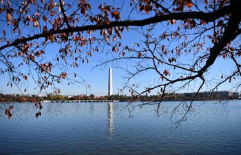 Autumn scenery on lakeside of Tidal Basin in Washington D.C