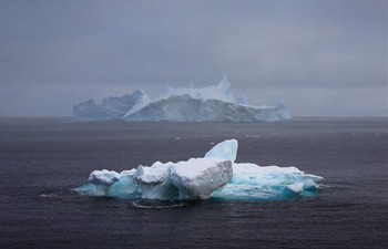 China's polar icebreaker enters floating ice area during 36th Antarctic expedition