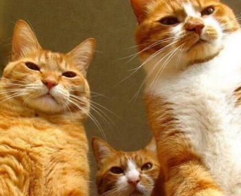 &ldquo;清倉(cāng)式&rdquo;違規(guī)減持傷害了誰(shuí)