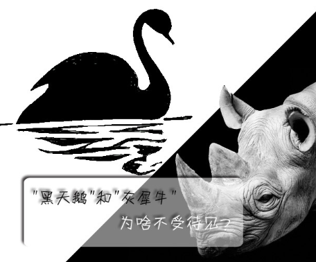 "黑天鵝"和"灰犀牛"為啥不受待見？