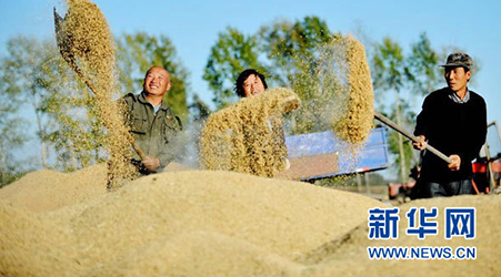 示范縣創(chuàng)建活動(dòng)簡介