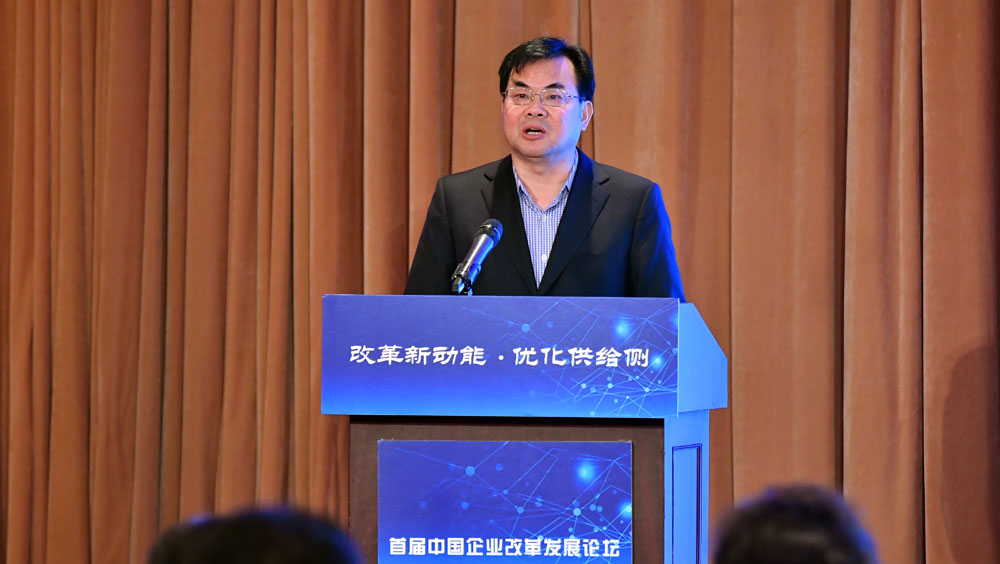 國(guó)家發(fā)改委副秘書(shū)長(zhǎng)范恒山演講