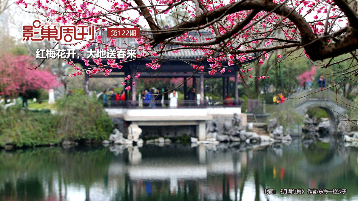 【影巢周刊】紅梅花開，大地送春來(lái)