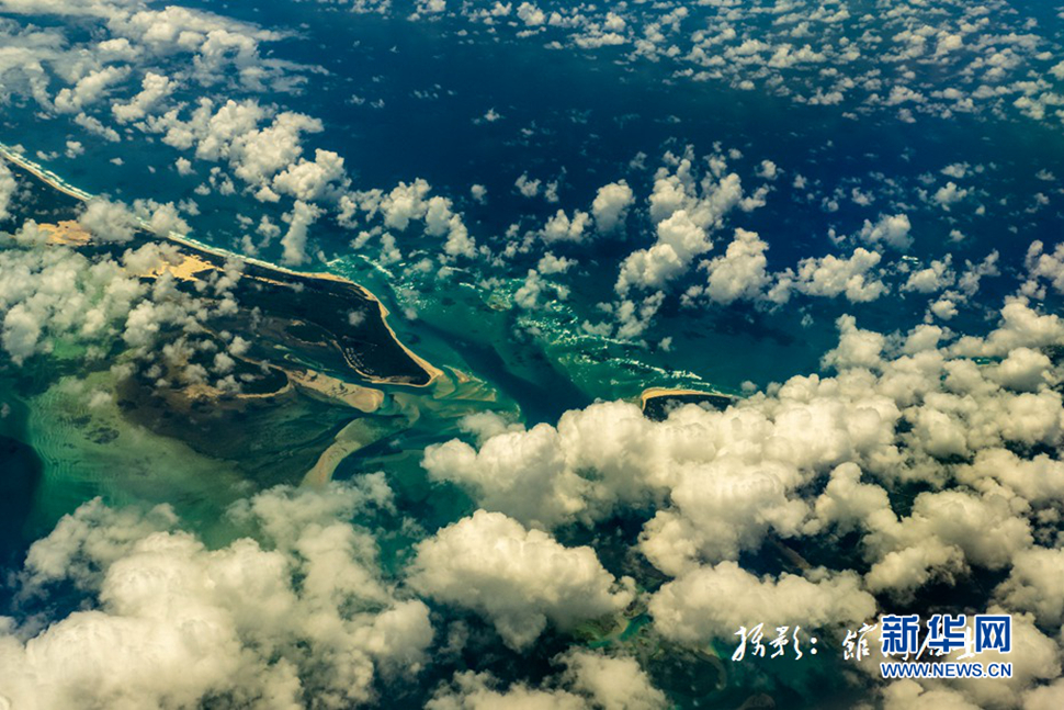飛躍太平洋，跨越秋與春