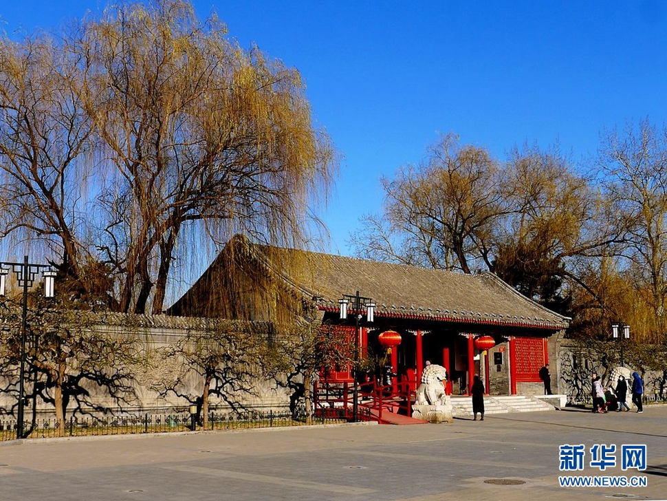 冬至，漫步大觀園