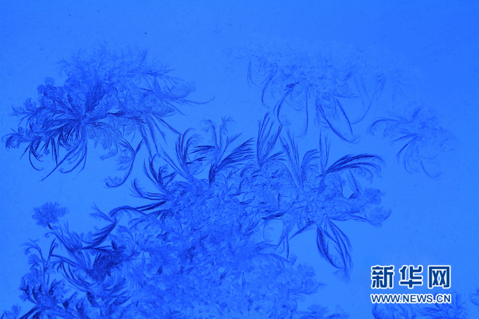 忽如一夜寒冬來，千家萬戶窗花開