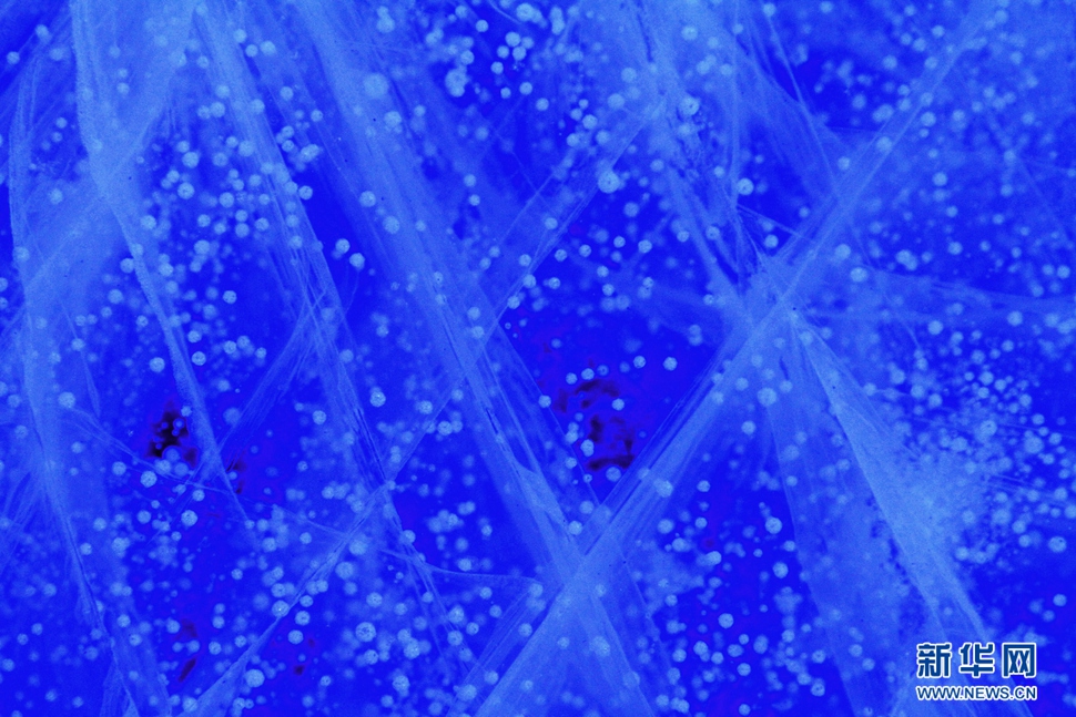 氣泡冰亮晶晶，藍(lán)精靈賽繁星