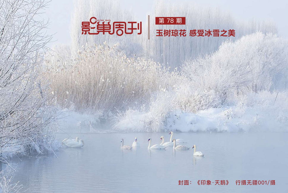 《印象·天鵝》