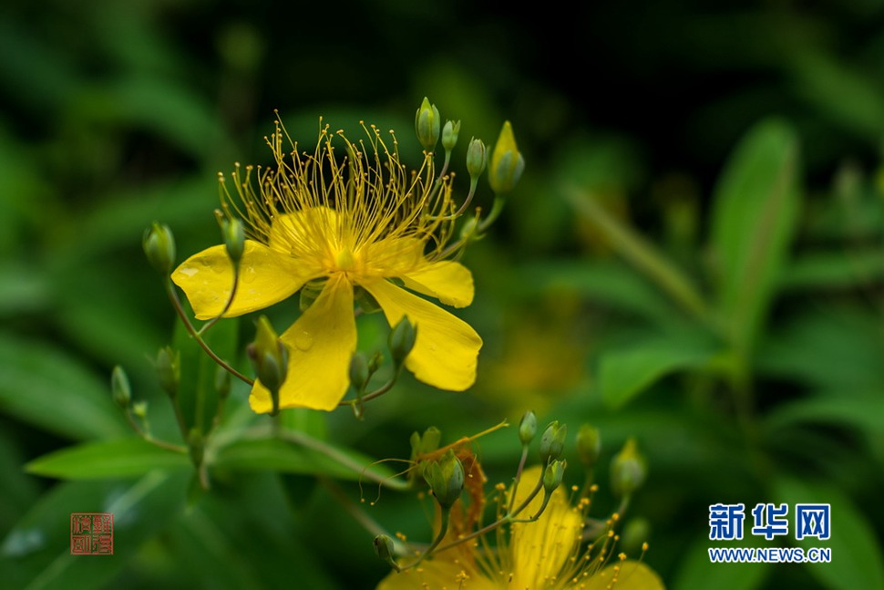 人像鏡頭試鏡拍花