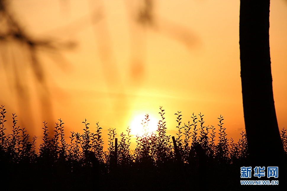 日落西山頭，人約黃昏后
