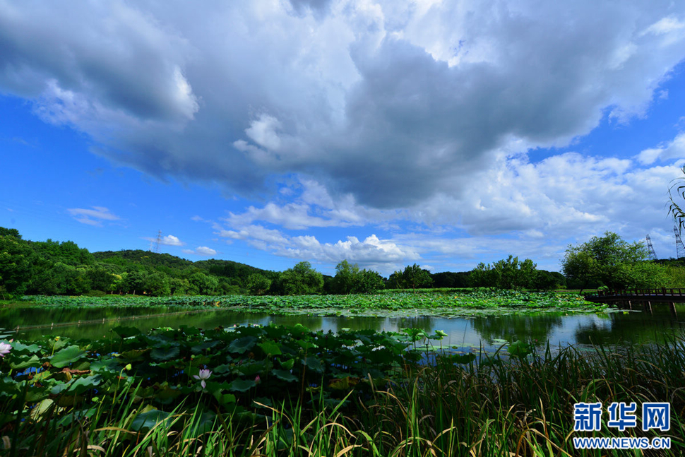 秋高氣爽，行攝八掛田