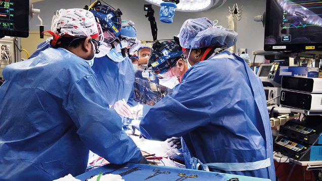 猪器官移植何以“跨物种救命”