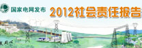 國(guó)家電網(wǎng)