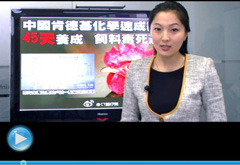 權(quán)威聲音：&ldquo;快時(shí)代&rdquo;究竟還有什么可以速成？