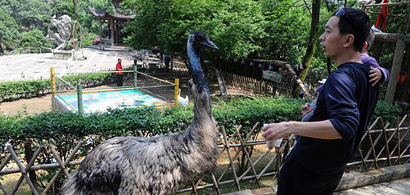 長(zhǎng)沙鳥語林群鳥體檢合格 百鳥與市民&ldquo;共歡&rdquo;