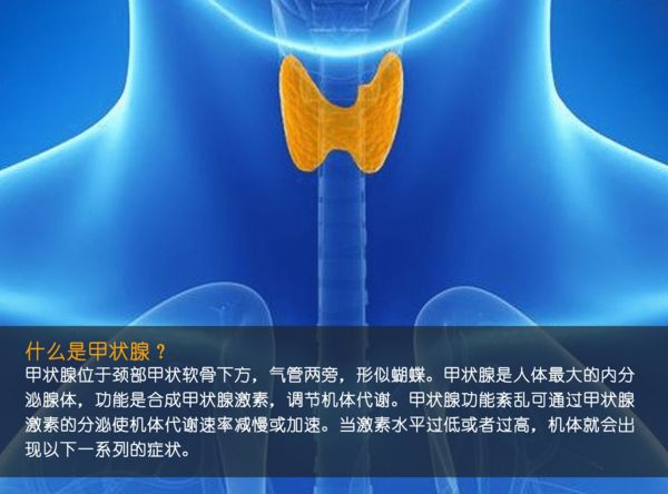 關(guān)注甲狀腺健康，你應(yīng)該知道的那些事