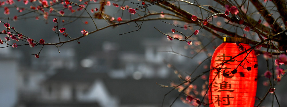 春來花開，綻放正當(dāng)時(shí)