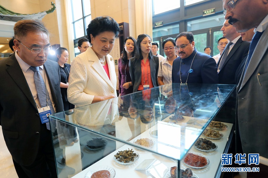 7月6日，金磚國家衛(wèi)生部長會暨傳統(tǒng)醫(yī)藥高級別會議在天津開幕。這是國務(wù)院副總理劉延?xùn)|與外賓一起參觀傳統(tǒng)醫(yī)藥文化展。 新華社記者 張玉薇 攝