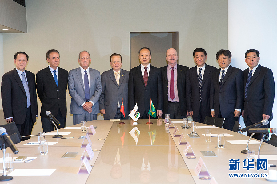 7月11日，在巴西首都巴西利亞，中共中央書記處書記、全國(guó)政協(xié)副主席杜青林（中）會(huì)見巴西民主運(yùn)動(dòng)黨總書記毛羅·洛佩斯（左四）。新華社記者李明攝