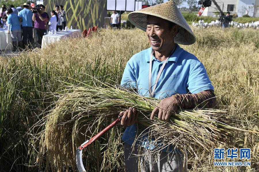 (新華全媒頭條·圖文互動(dòng))(2)歷史性飛躍的偉大實(shí)踐——中國共產(chǎn)黨引領(lǐng)中國特色社會(huì)主義開辟發(fā)展新境界述評(píng)