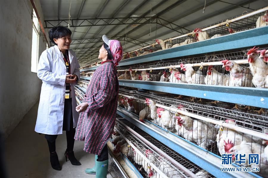 （十九大代表回基層&middot;圖文互動）（1）擺脫貧困后，還應有更高的精神追求&mdash;&mdash;十九大代表余留芬的&ldquo;宣講時光&rdquo;