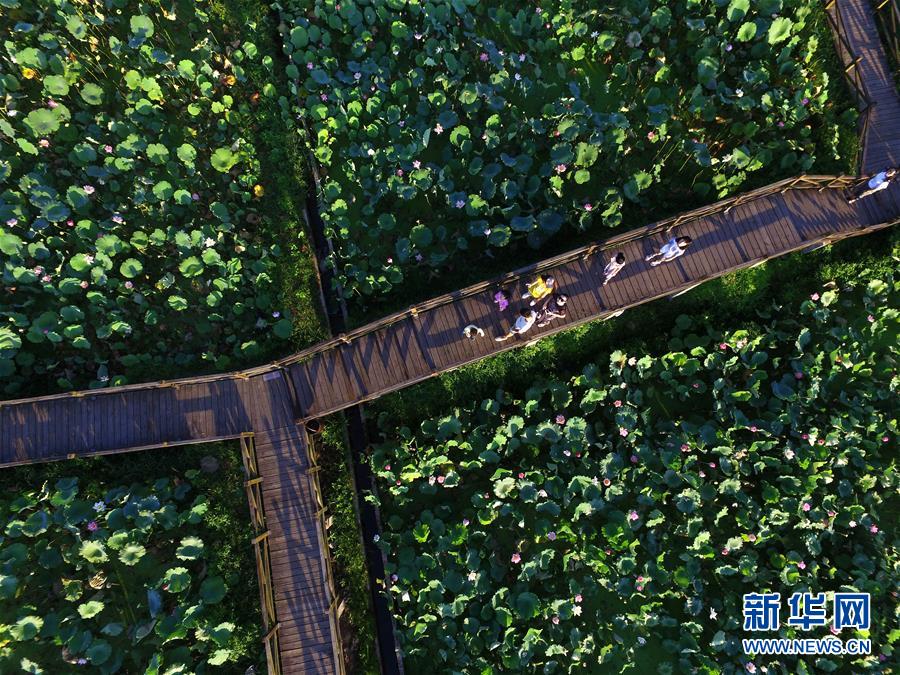 (新時代新氣象新作為·圖文互動)(2)向著小康沖刺——江西脫貧攻堅“百日行動”掃描