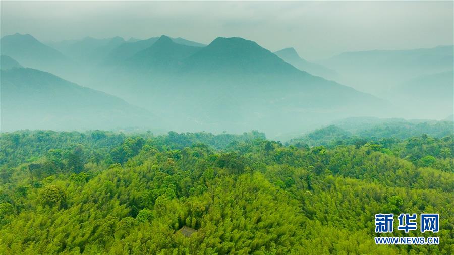 （新華全媒頭條·圖文互動）（9）赤水：別了，貧困！