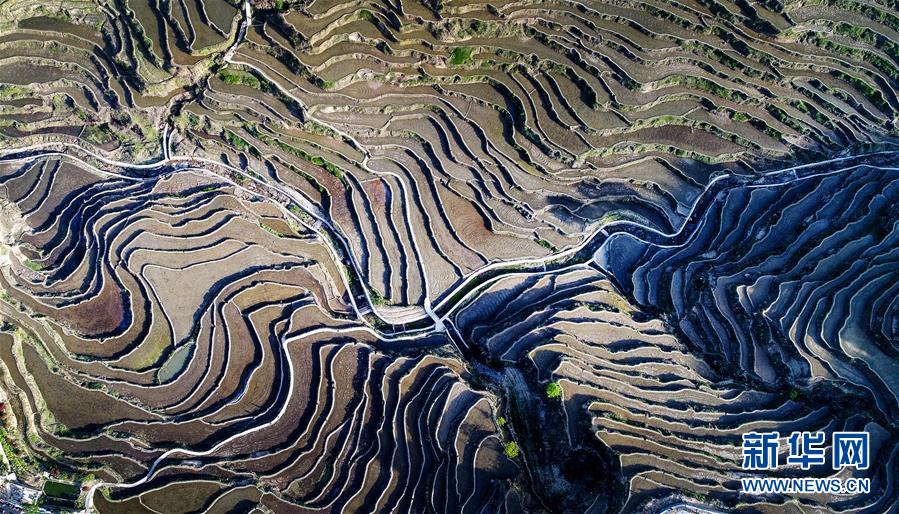 (社會(huì))(2)湖北蘄春:梯田景觀(guān)成就扶貧產(chǎn)業(yè)