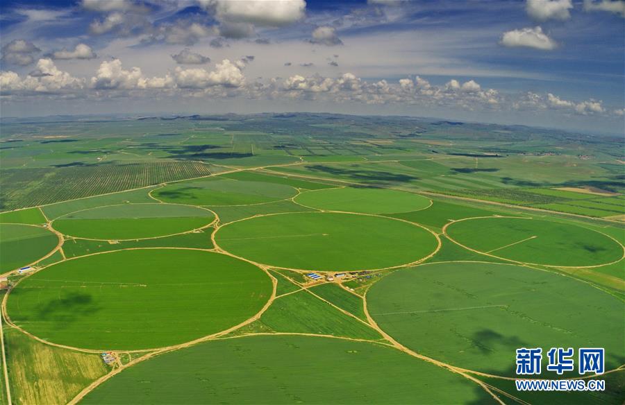 (經(jīng)濟)(2)綠染塞北農(nóng)田 展壩上現(xiàn)代農(nóng)業(yè)新姿