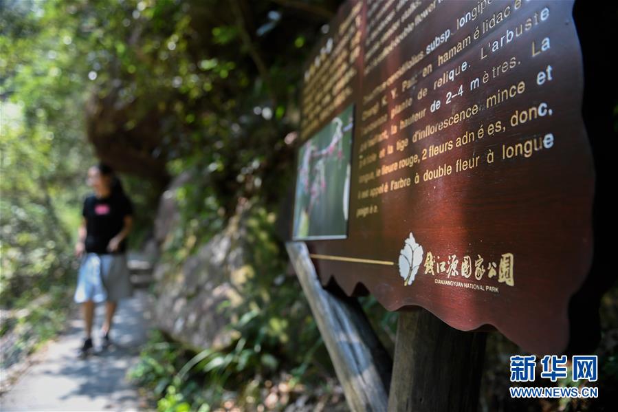 （環(huán)境）（2）走進(jìn)錢江源國家公園體制試點區(qū)