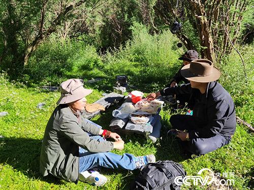 長途跋涉途中休息。