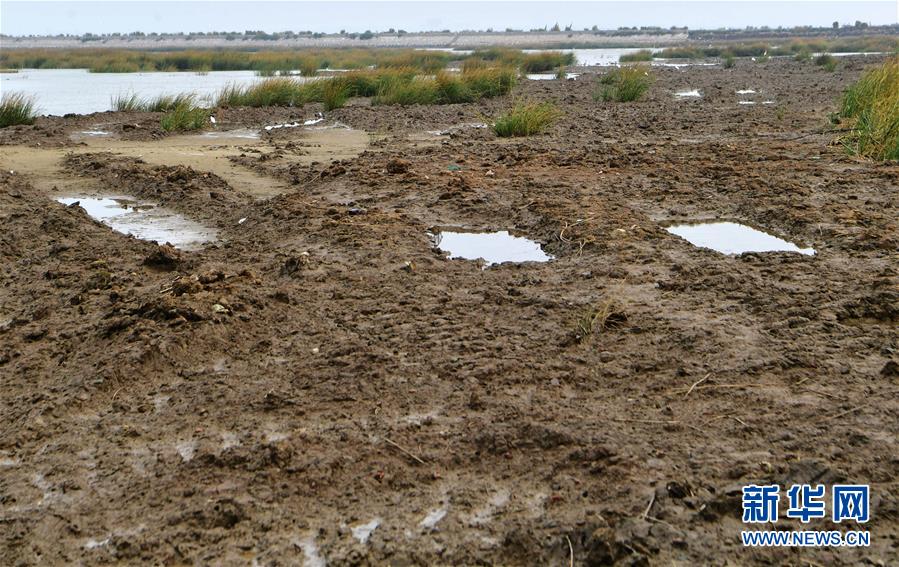 (新華視點(diǎn)·圖文互動(dòng))(2)福建10名黨員干部被問責(zé)的背后:7部門十余次執(zhí)法未能有效制止泉州灣濕地圍墾行為
