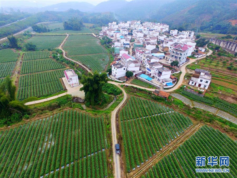 （輝煌60年&middot;壯美新廣西&middot;圖文互動）（10）從禿山到青山的蝶變&mdash;&mdash;廣西石漠化治理10年再現(xiàn)發(fā)展生機(jī)