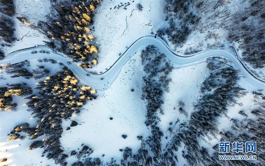 (兩會(huì)前夕看落實(shí)·圖文互動(dòng))(6)牢記囑托增進(jìn)民族團(tuán)結(jié) 凝心聚力建設(shè)美麗新疆——新疆落實(shí)習(xí)近平總書(shū)記全國(guó)兩會(huì)重要講話精神紀(jì)實(shí)