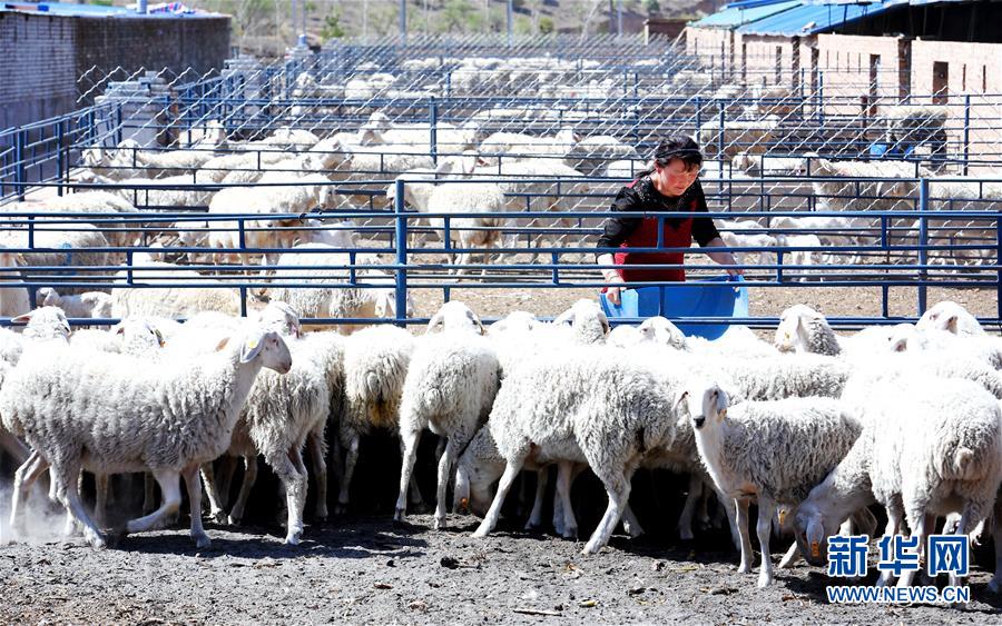 (圖文互動)(2)柳暗花明又一村——“今日之中國”系列述評之三