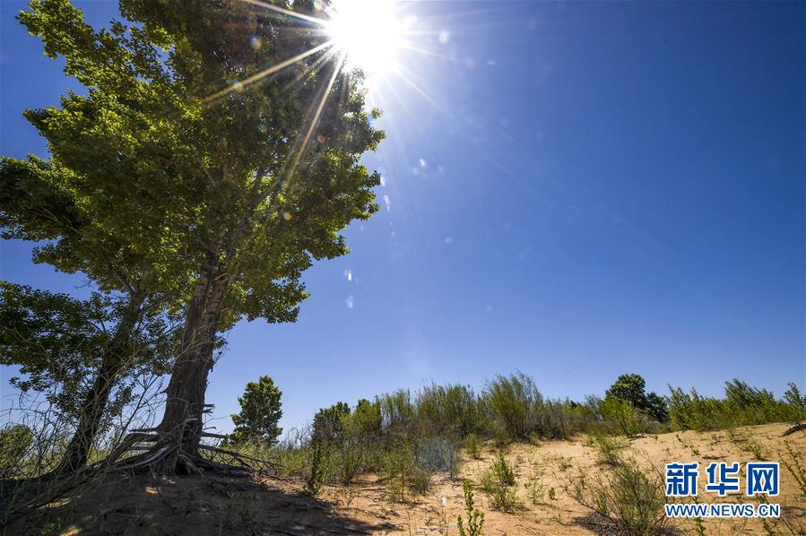 （新華全媒頭條&middot;壯麗70年&middot;奮斗新時(shí)代&middot;圖文互動(dòng)）（5）中國減貧的西海固報(bào)告