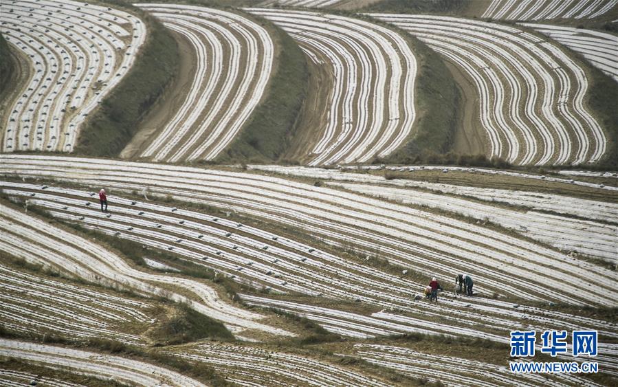（新華全媒頭條&middot;壯麗70年&middot;奮斗新時(shí)代&middot;圖文互動(dòng)）（7）中國減貧的西海固報(bào)告