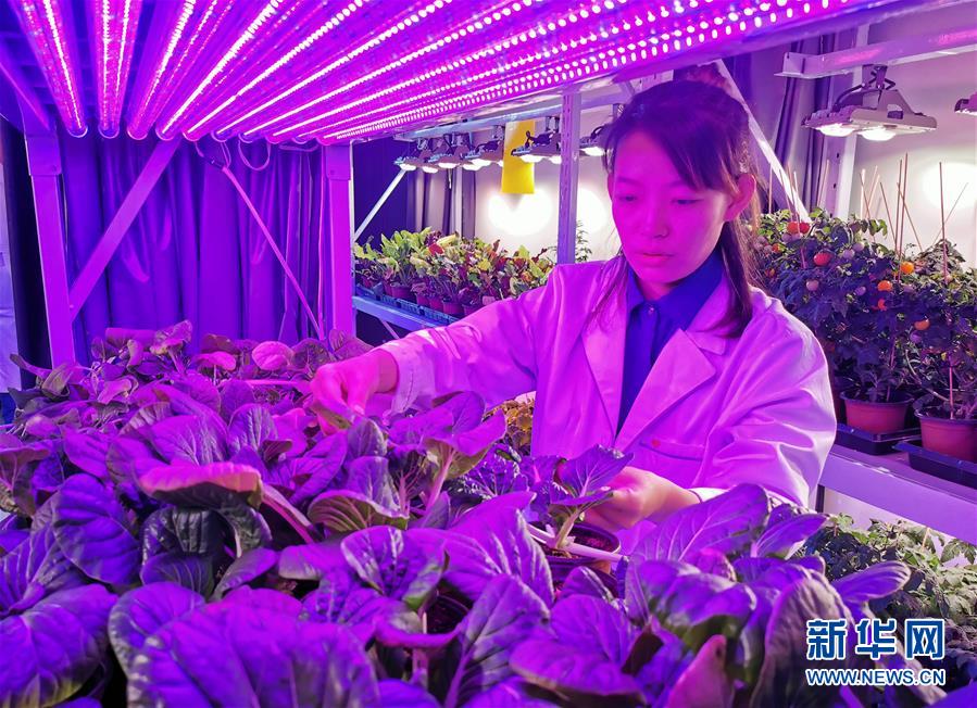 (愛國情 奮斗者·圖文互動)(5)池建義團(tuán)隊:把論文寫在產(chǎn)品上