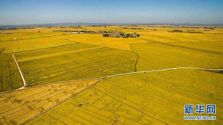 (在習近平新時代中國特色社會主義思想指引下——新時代新作為新篇章·圖文互動)(2)吉林萬昌現代農業(yè)發(fā)展先導區(qū)“三變”