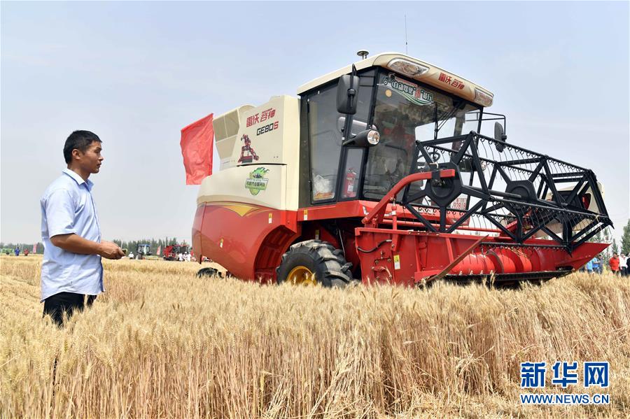 (壯麗70年·奮斗新時代——共和國發(fā)展成就巡禮)(2)看今朝齊風魯韻 七十載芳華正勁——新中國成立以來山東領先發(fā)展紀實