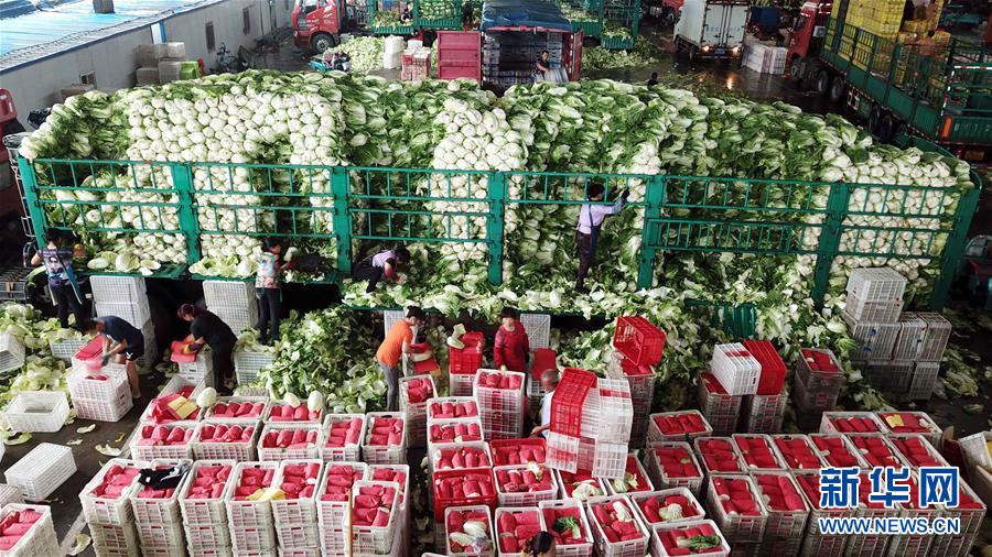 (壯麗70年·奮斗新時代——共和國發(fā)展成就巡禮)(5)看今朝齊風魯韻 七十載芳華正勁——新中國成立以來山東領先發(fā)展紀實