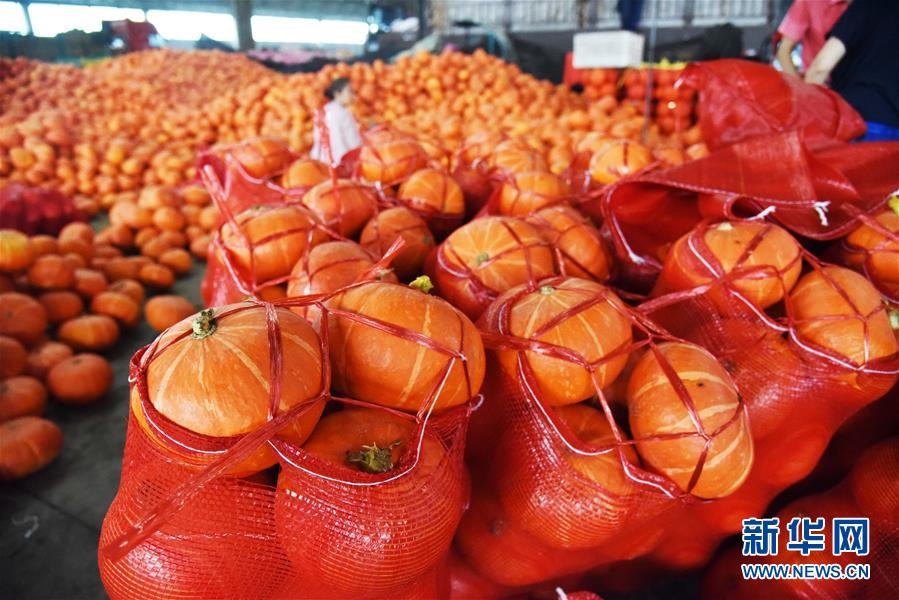 (壯麗70年·奮斗新時代——共和國發(fā)展成就巡禮)(6)看今朝齊風魯韻 七十載芳華正勁——新中國成立以來山東領先發(fā)展紀實