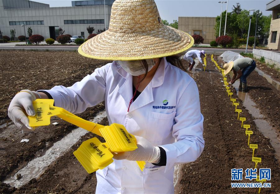 (壯麗70年·奮斗新時代——共和國發(fā)展成就巡禮)(10)看今朝齊風魯韻 七十載芳華正勁——新中國成立以來山東領先發(fā)展紀實