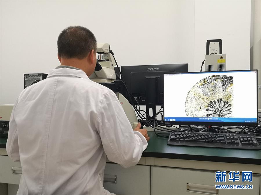 （新華調(diào)查·新中國(guó)考古重大發(fā)現(xiàn)·圖文互動(dòng)）（5）?；韬睿翰粌H僅是“黃金大墓”